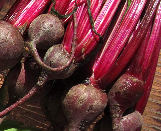 Fresh garden beet recipes