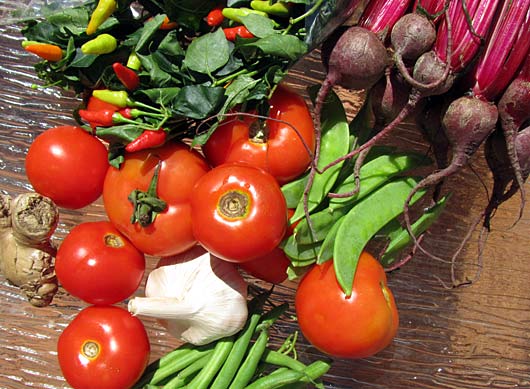 veggies from the caloundra farmer's market tomatoes, snow peas, green beans, chillis and baby beets