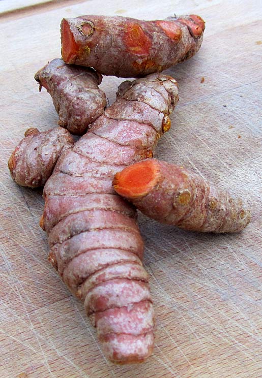 fresh turmeric fresh turmeric