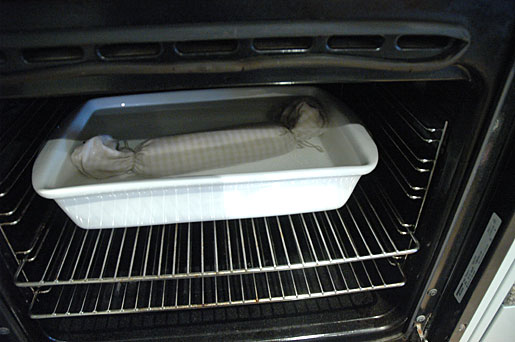 cooking rotolo pasta in the oven cooking Italina rotolo in the oven