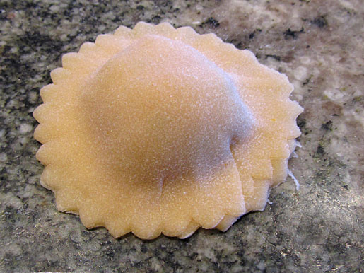 finished ravioli finished ravioli